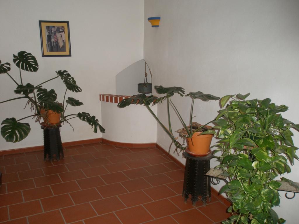 Hotel Passagem Do Sol Moura Ngoại thất bức ảnh
